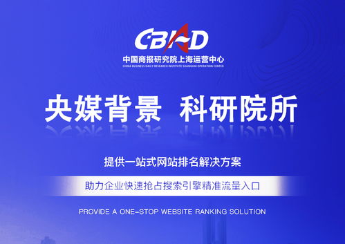 上海网站SEO优化公司 西骏传媒